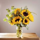 Sunny Days Premium