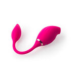 SUCCIONADOR DUAL FEMENINO ALLEN TUTIFRUTI COLOR ROSA