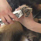 Cortadora y Terminadora Mascotas Wahl Pet Pro Combo 9284