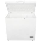 Congelador Horizontal AURUS AFC07W 7p3