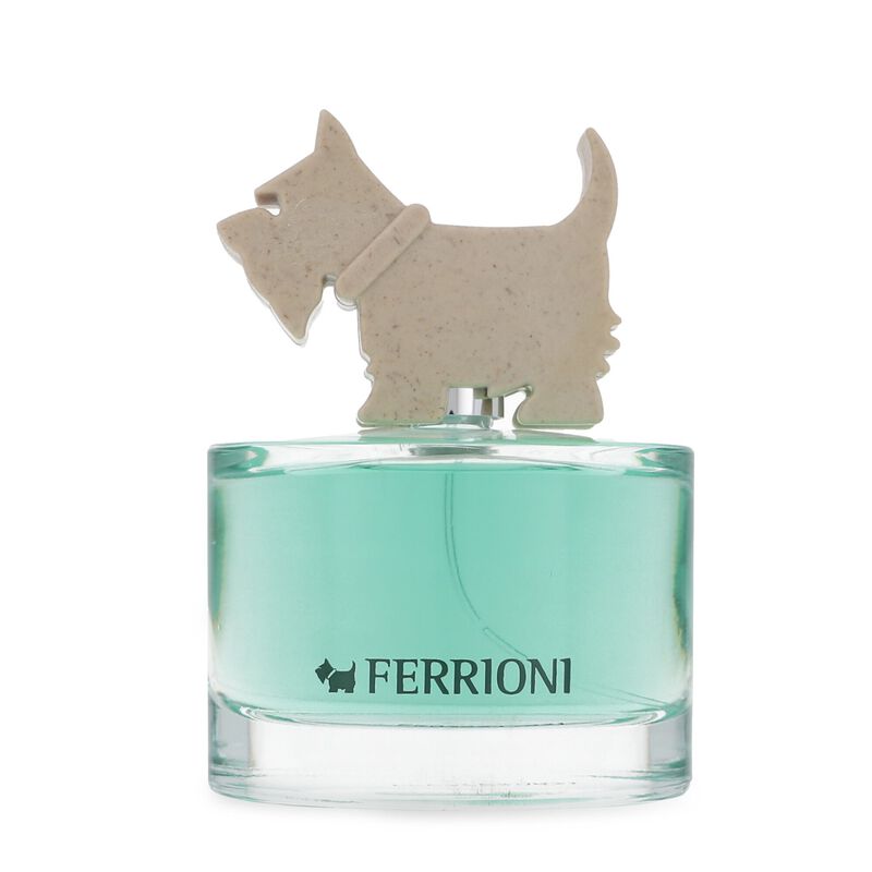 Ferrioni Green For Him 100Ml Edt Spray image number null