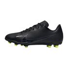 Zapatos De F&uacute;tbol Nike Jr Vapor 15 Club Fg/mg Dj5958-001