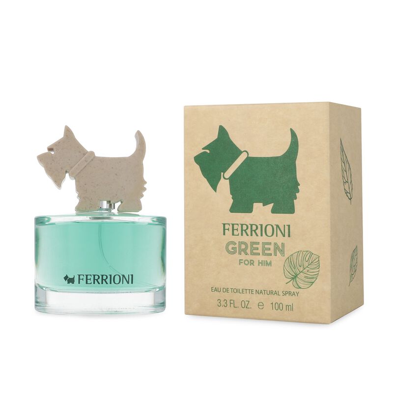 Ferrioni Green For Him 100Ml Edt Spray image number null