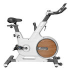 Bicicleta Spinning Magn&eacute;tica Est&aacute;tica Disco De Resistencia Centurfit