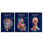 Anatom&iacute;a Humana Tomo I-III