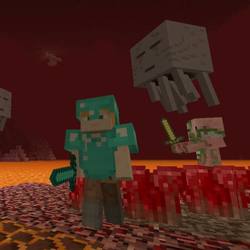 Minecraft Nintendo Switch image number null