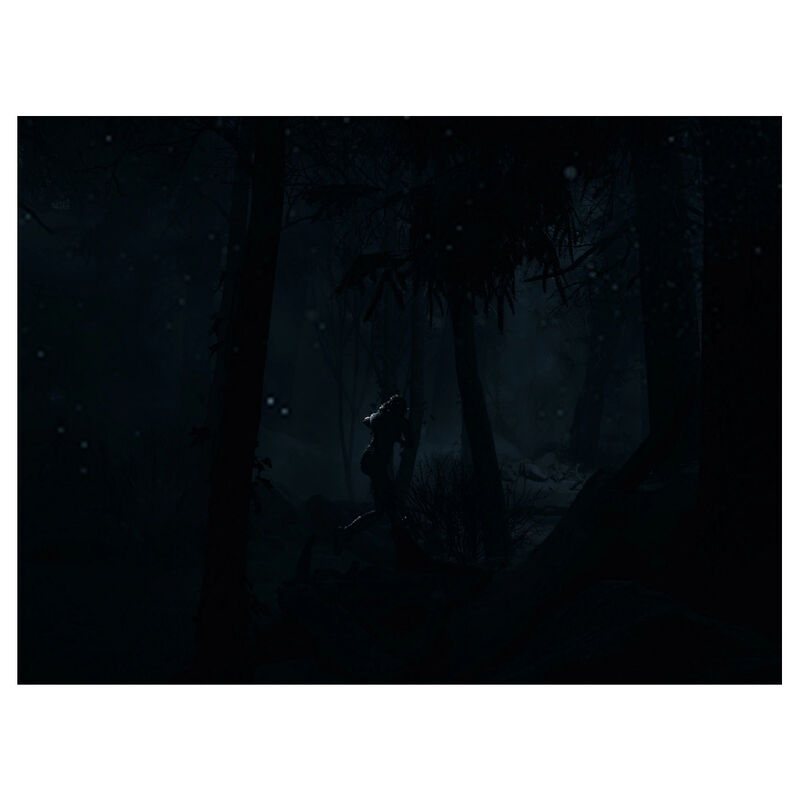 Ps5 Juego Until Dawn image number null