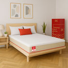 Colchon De Caja Queen Size Atlas Zazi