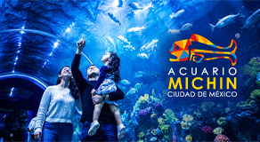 Acuario Michin