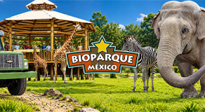 Bioparque